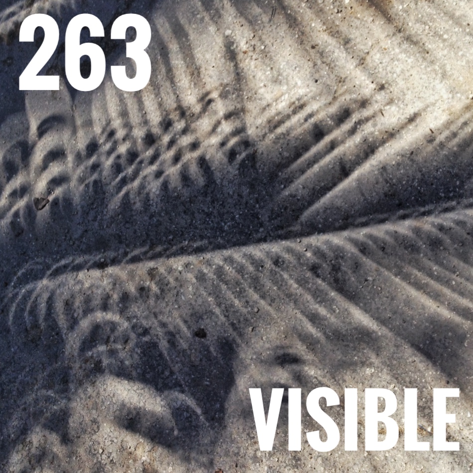Visible