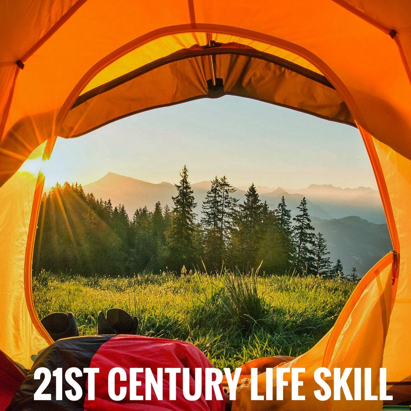 The skill of Living. The skill of Humans. The skill of Dynamics.
