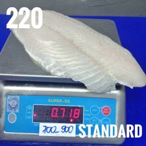 Emily. (2019). Measurement of Pangasisus Fillets.