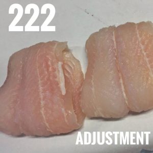 D 222 – Adjustment Emily. (2019). Pangasisus Fillets.
