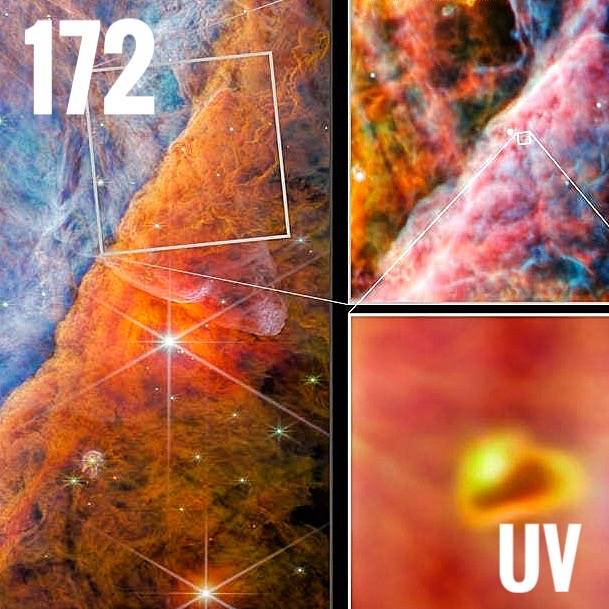 UV Radiations. UV Contributions. UV Affects