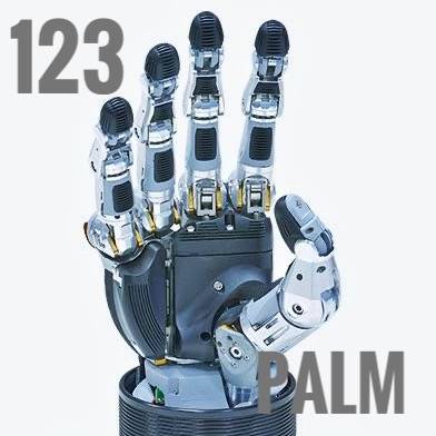 The grip from palm of rama