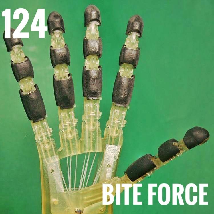 Grip Bite Force of RAMA
