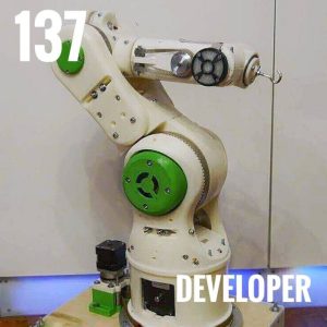 D 137 – Developer Hidden player of RAMA