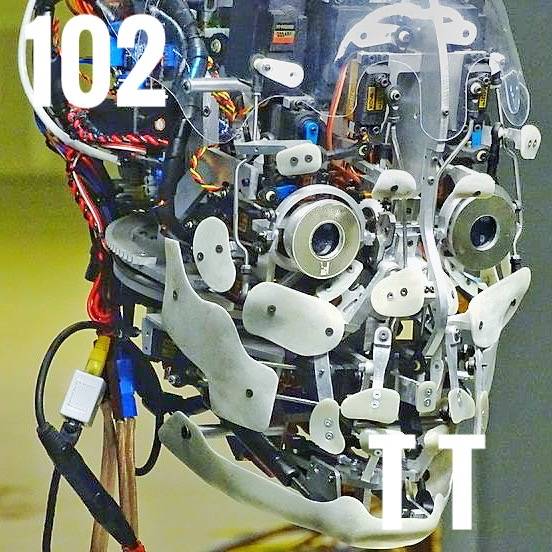 TT in Robustness. TT of Intelligence. TT at Adv. Algorithms.