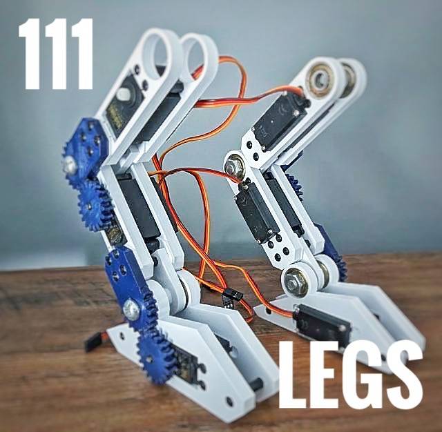 Legs of Humanoid Robot