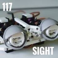 Sight in Robotics